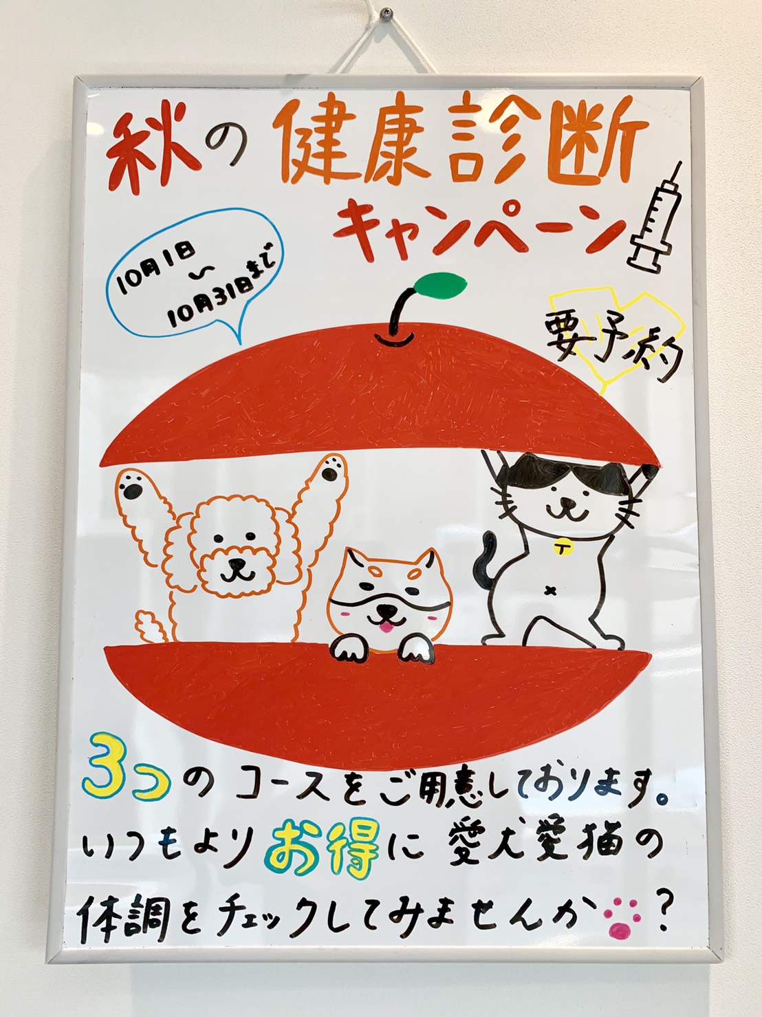 ＊裁断済み　犬と猫の身体検査 裁断済み‼️スキャナーが必要です‼️犬と猫の救急医療プラクティス 裁断