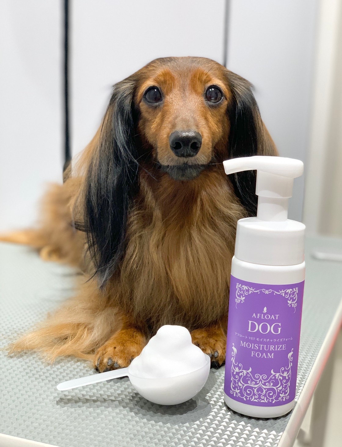 強い皮膚作り シリウス犬猫病院