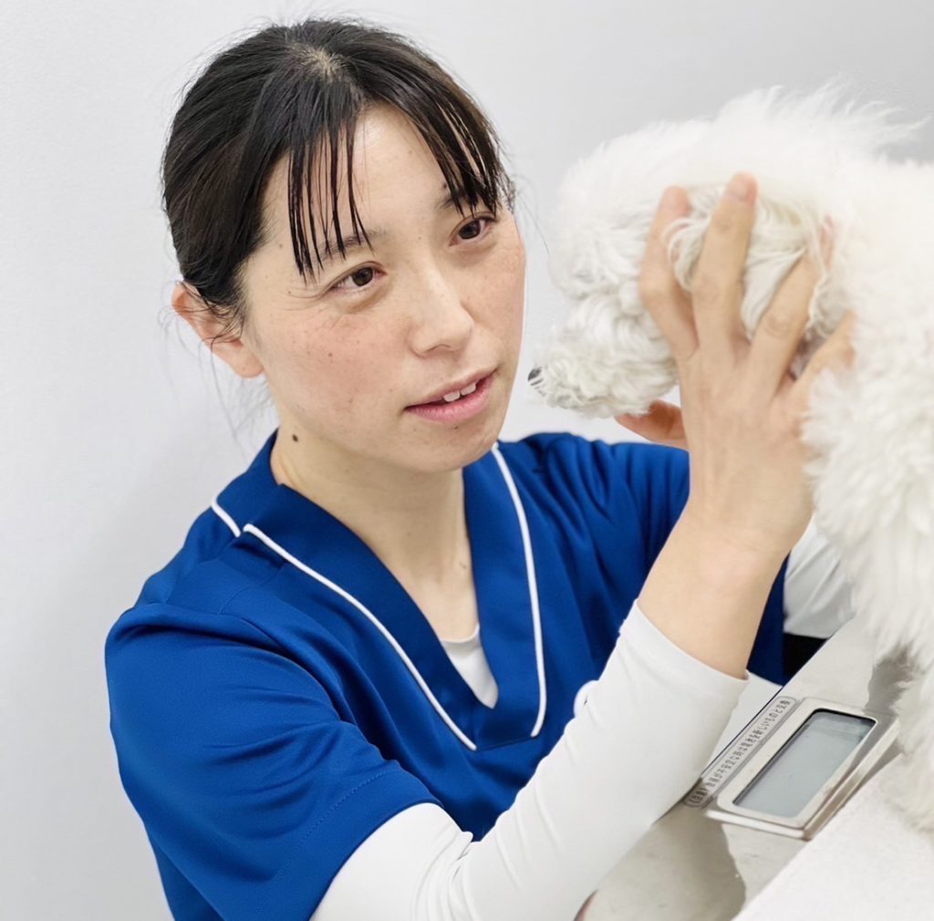 歯科専門医推奨  サプリメント✨ - シリウス犬猫病院