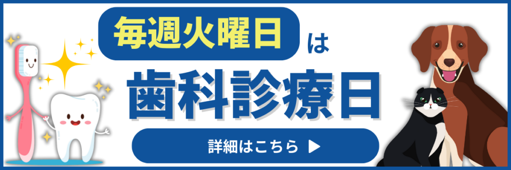バナー_歯科診療の詳細はこちら